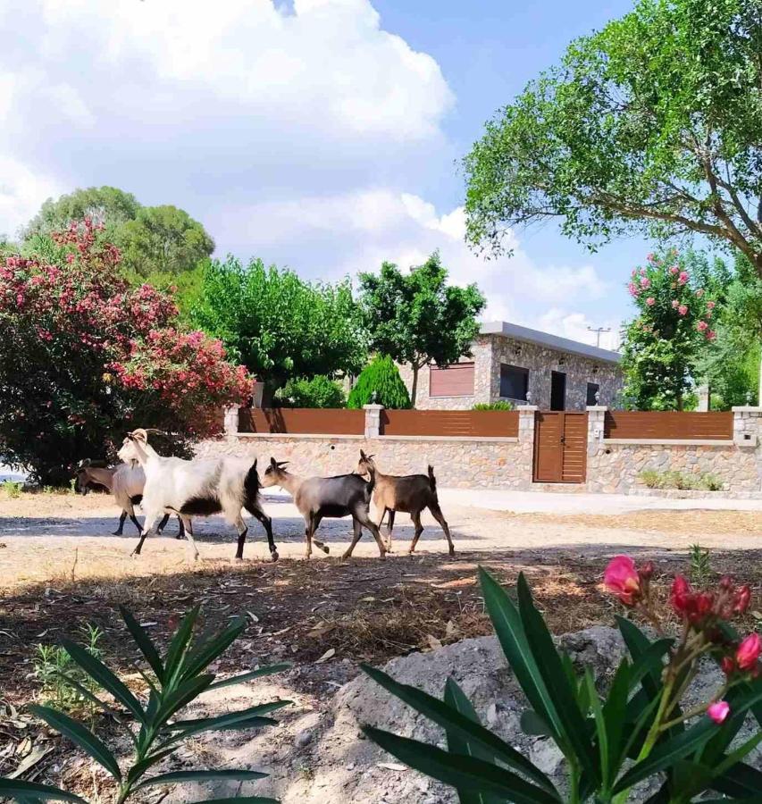 Aithonas Villa Архангелос Екстериор снимка