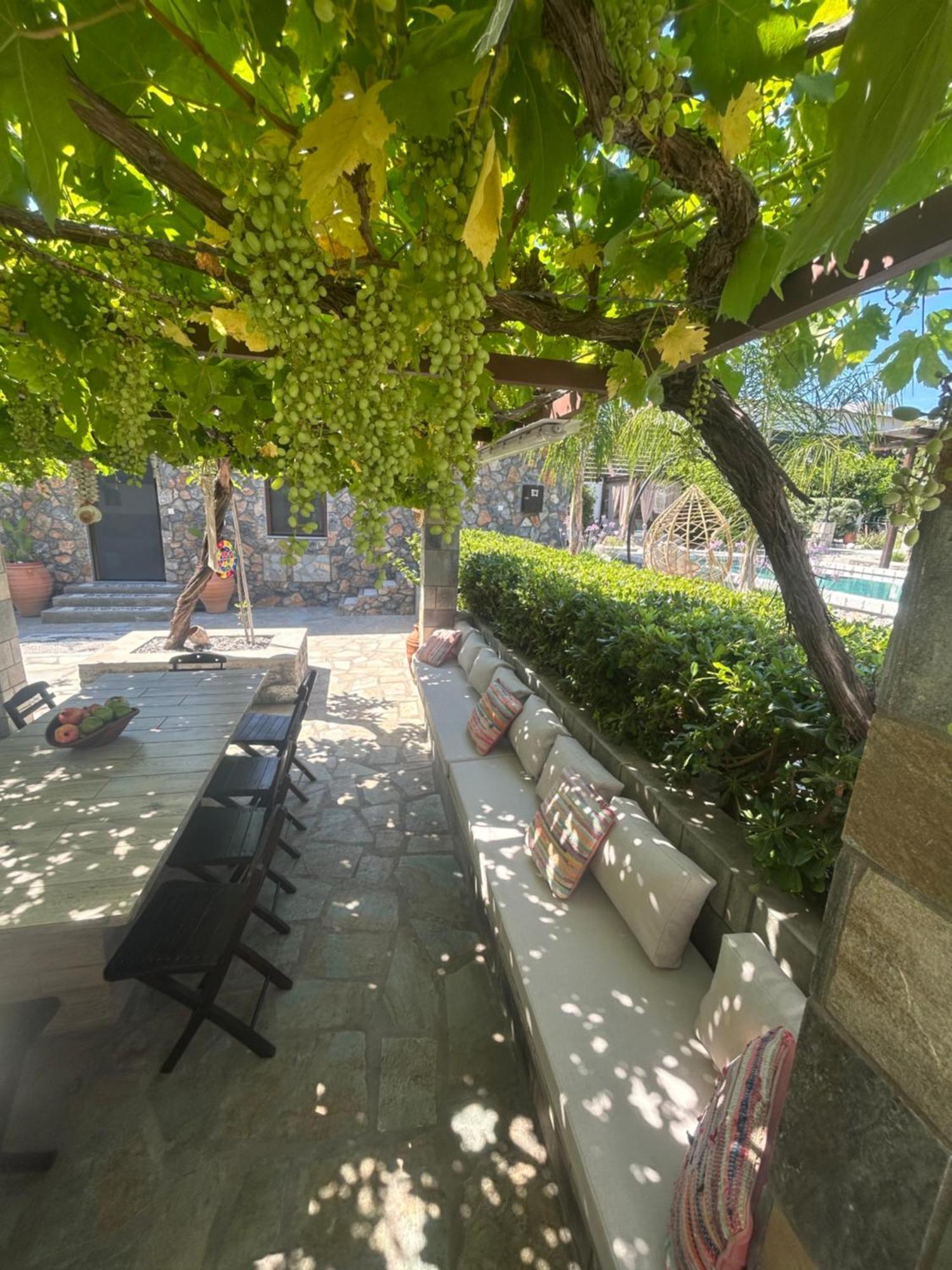 Aithonas Villa Архангелос Екстериор снимка